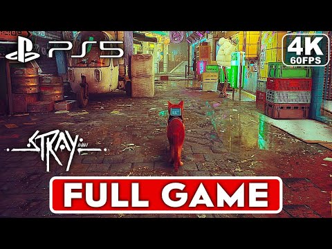 STRAY przejście całej gry – sama rozgrywka, bez komentarza